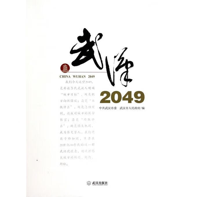 武汉 2049