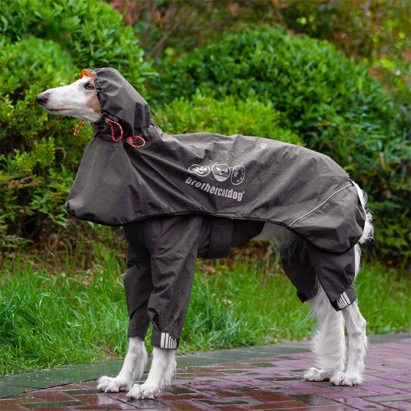 京东宠物鞋服价格监测|宠物鞋服价格比较