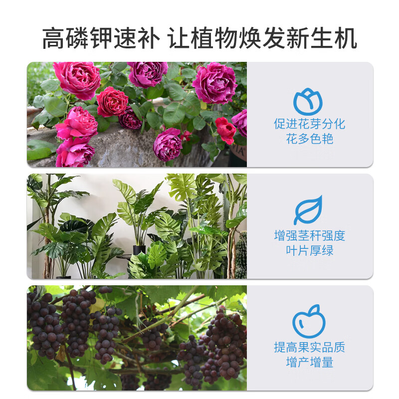 植美施磷酸二氢钾肥料催花促花养花专用家用水溶肥叶面喷施 500g磷酸二氢钾1袋