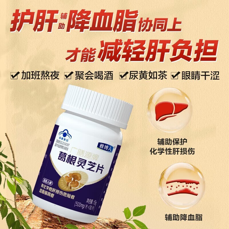 雅博人葛根灵芝片 护肝片护肝胶囊辅助降血脂养肝护肝广膳源牌肚子大