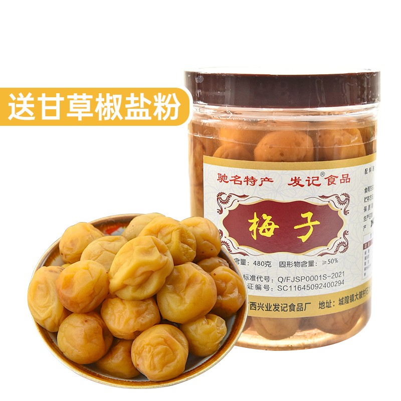 广西酸梅子 发记梅子480g 玉林特产城隍酸料盐渍酸梅泡水梅子腌青梅