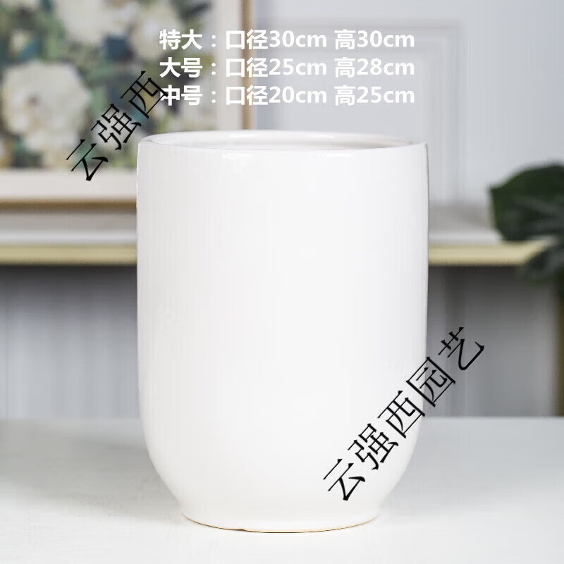 潮鳴（CHAOMING）陶瓷花盆高身客廳落地大花盆30以上陶瓷特大號高筒60cm 亮光白_C款+塑料托盤 陶瓷_特大