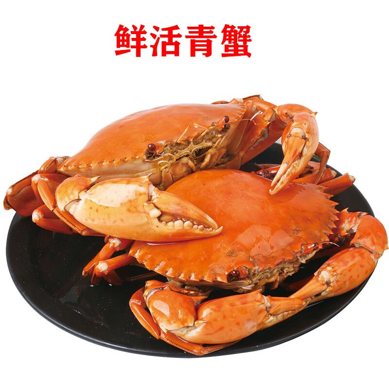 【活鲜】青蟹鲜活大红膏蟹公母蟹红鲟海鲜水产大螃蟹礼盒2斤2只 2斤