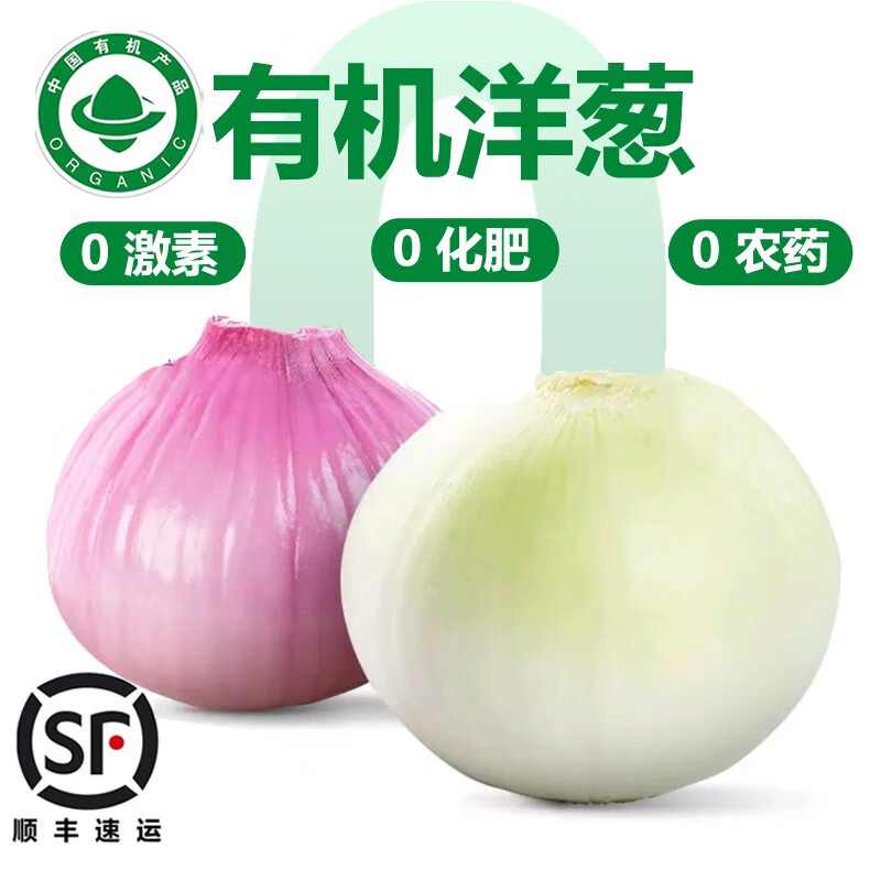 紫洋葱黄圆葱头 凉拌提味增香食材生鲜蔬菜 (3份*300g/份)颜色随机