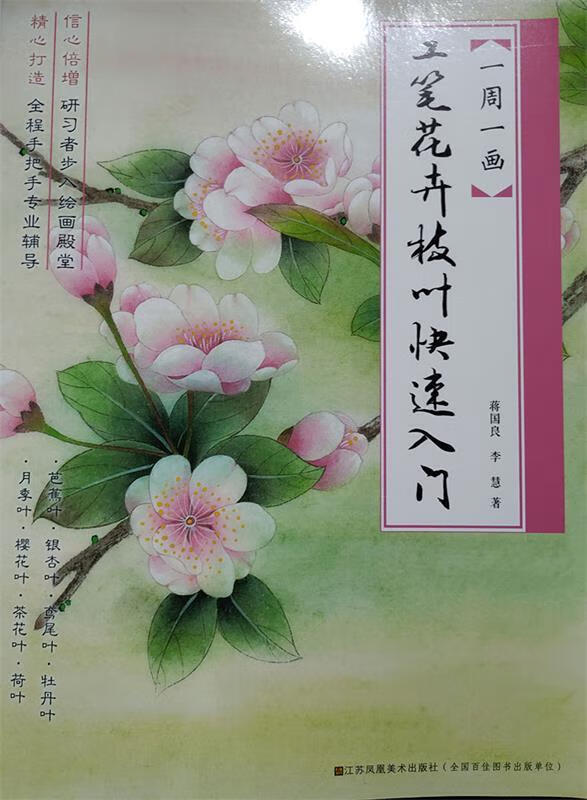 一周一画-工笔花卉枝叶快速入门