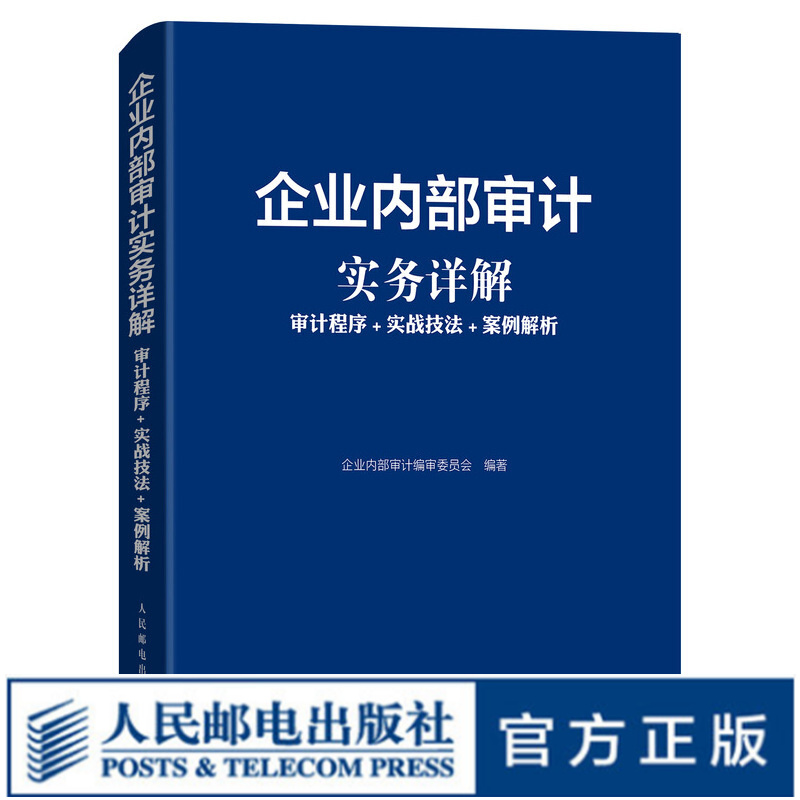 企业内部审计实务详解 审计程序 实战技法 案例解析 2019年新版 依据《中国内部审计准则》编写