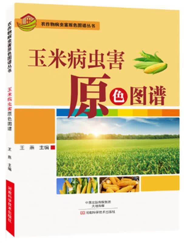 玉米病虫害原色图谱 王燕 河南科学技术出版社 9787534983658