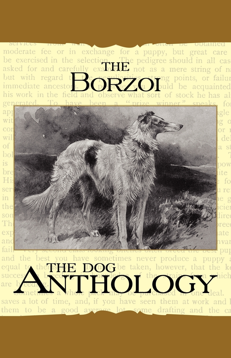 预售 按需印刷borzoi