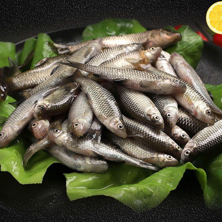 京鲜送麦穗鱼小罗汉鱼肉离骨鱼柳条现杀新鲜小鱼 1斤装麦穗鱼