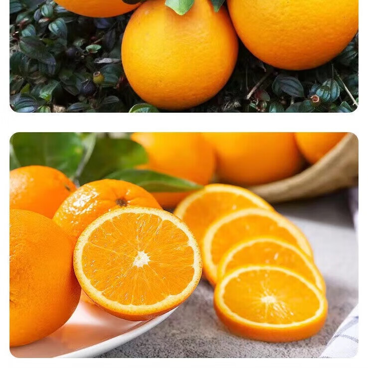 逮果重庆奉节脐橙新鲜采摘橙子时令水果当季现摘现发精品大果礼盒装 12枚礼盒装【送亲人/领导】