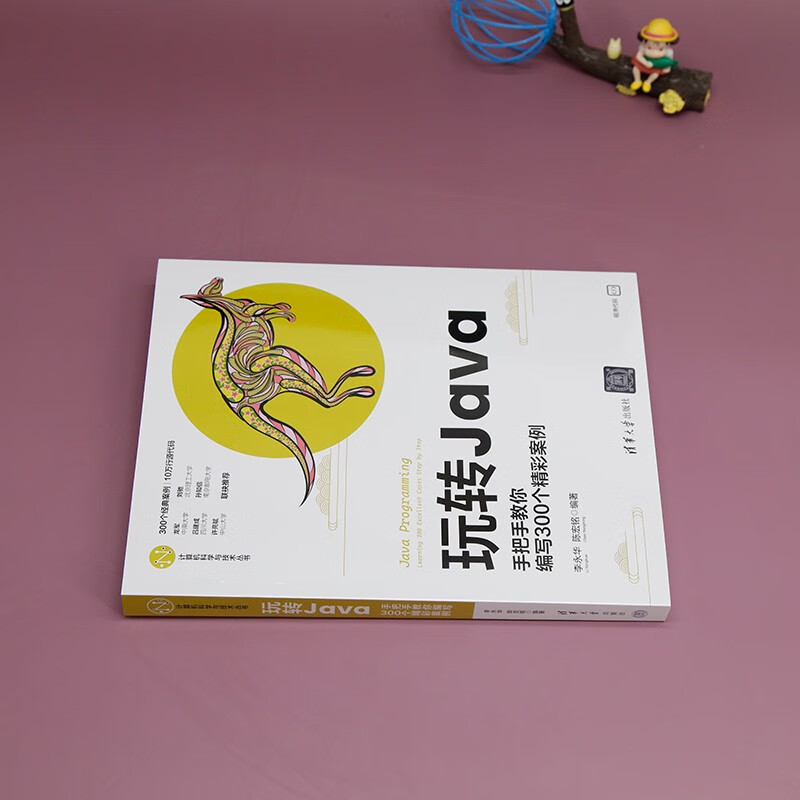 玩转Java--手把手教你编写300个精彩案例（计算机科学与技术丛书）