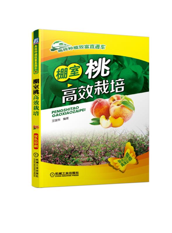 棚室桃高效栽培/高效种植致富直通车