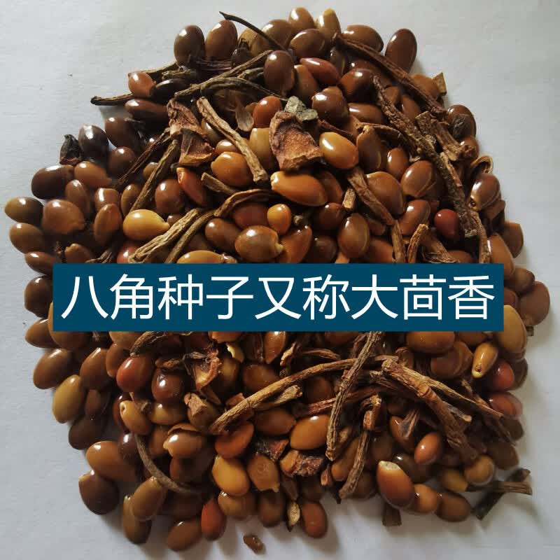 大茴香,大料,大茴,红八角,唛角 八角树种籽春播 八角大茴香种子50粒