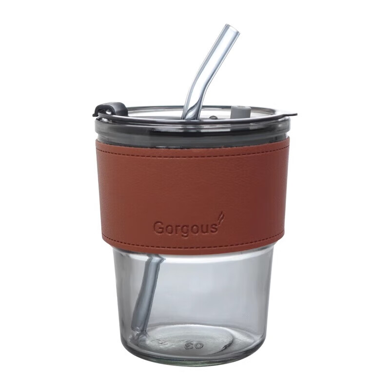 番易值吸管式杯子小巧便携带盖随手家用水杯咖啡杯高颜杯玻璃吸管杯 透明图案400ml 1套 400ml