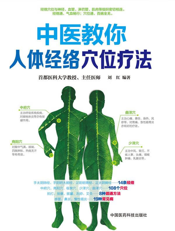 中医教你人体经络穴位疗法