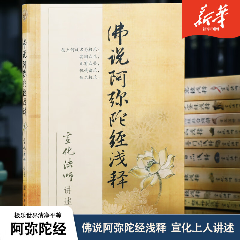 禅宗经典禅宗书籍禅宗心法禅宗入门佛教书籍佛学书籍佛学经典佛教图书