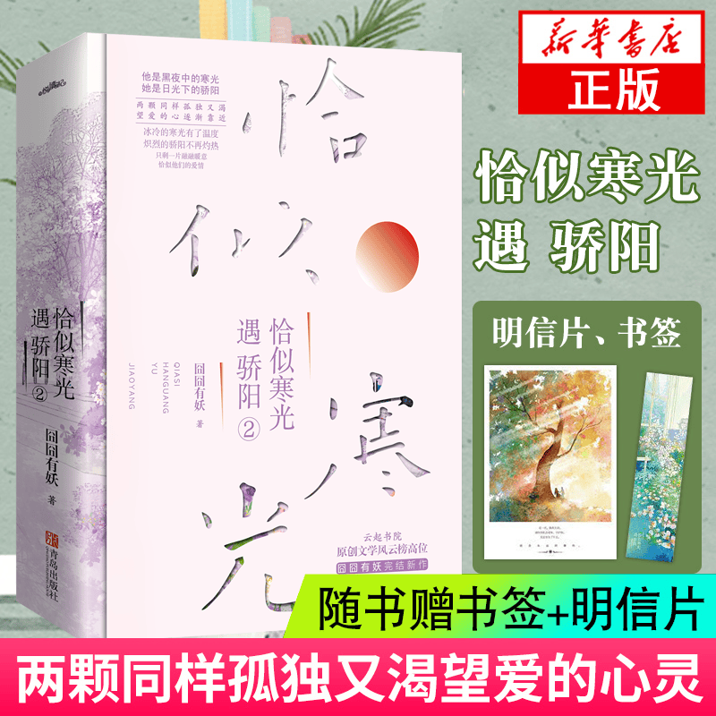 恰似寒光遇骄阳2共2册【现货】附赠签名明信片书签正版新书 囧囧有妖著书云起书院青春都市文学言情小说书