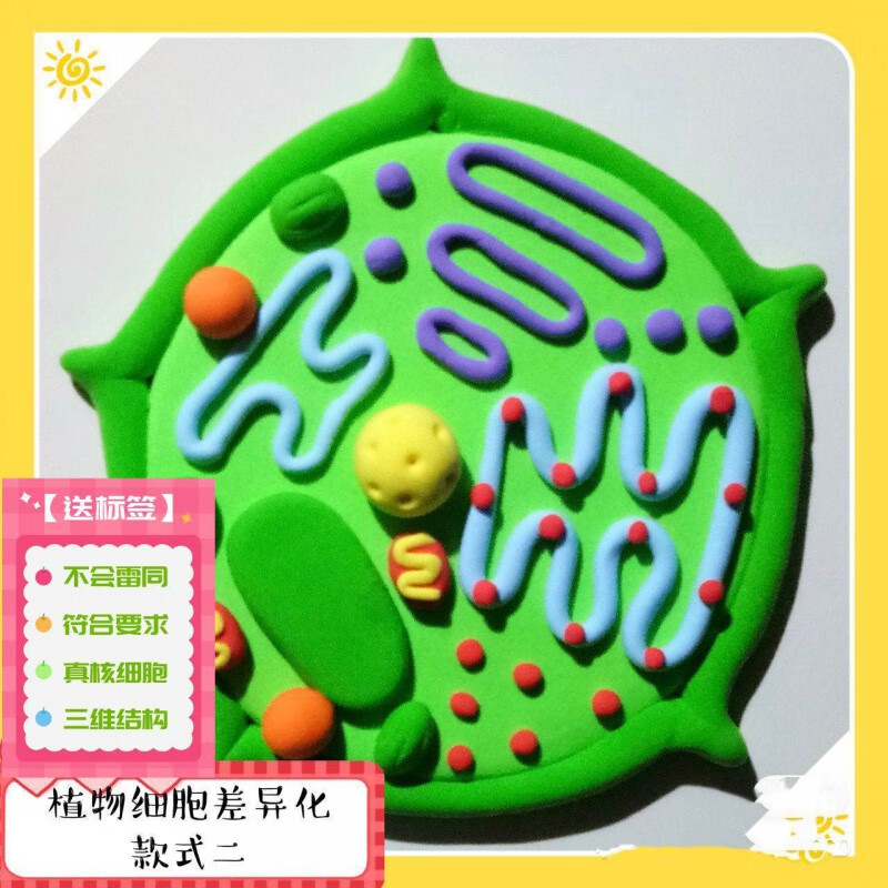 迪登都动植物细胞模型初中高中手工生物细胞模型材料包成品diy粘土