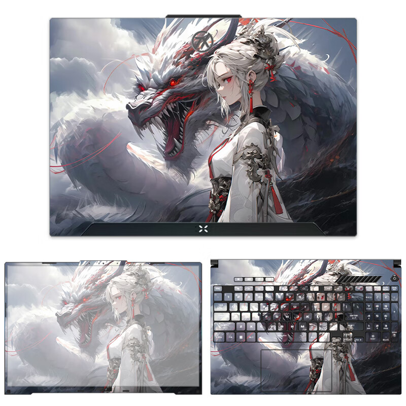 酷力驰 华硕天选6/6Pro贴纸天选4/5Pro保护膜2/3/4plus/锐龙AI版Air机身外壳贴膜 款式16 ABC面