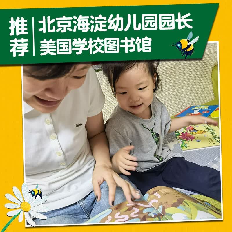 大自然中的数学（套装共4册）【3-6岁】 儿童科普详情图