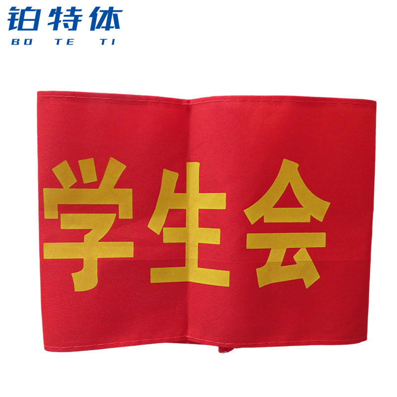 者安全员治安巡逻劝导监督管理值勤袖套红色别针款 学生会【10个装】