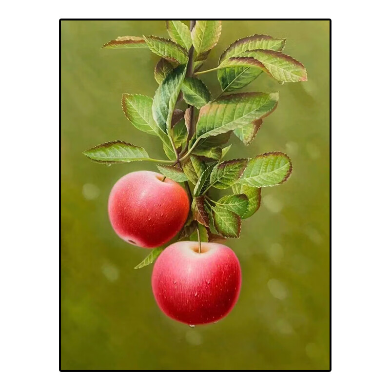 新中式纯手绘客厅油画水果超写实入户玄关装饰画苹果正对门挂画 平安