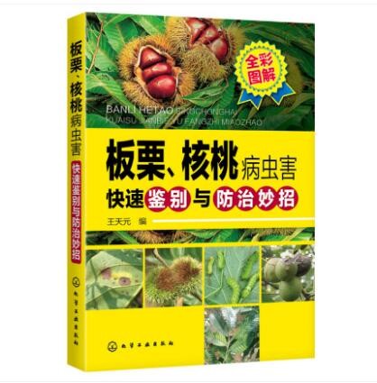 板栗核桃病虫害快速鉴别与防治妙招 王天元