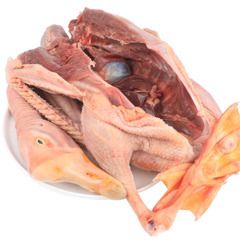 初土记硒有老鹅 活水放养 鹅肉 新鲜大鹅  土鹅 仔鹅 活鹅 现杀发货