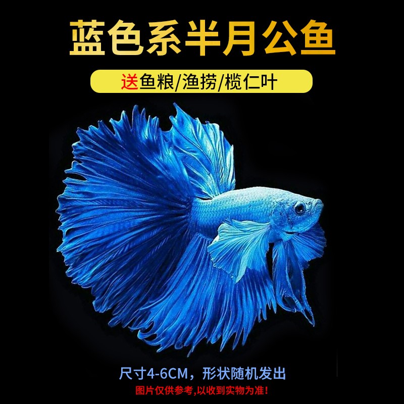 斗鱼】相关京东优惠商品排行榜(10) - 价格图片品牌优惠券- 虎窝购