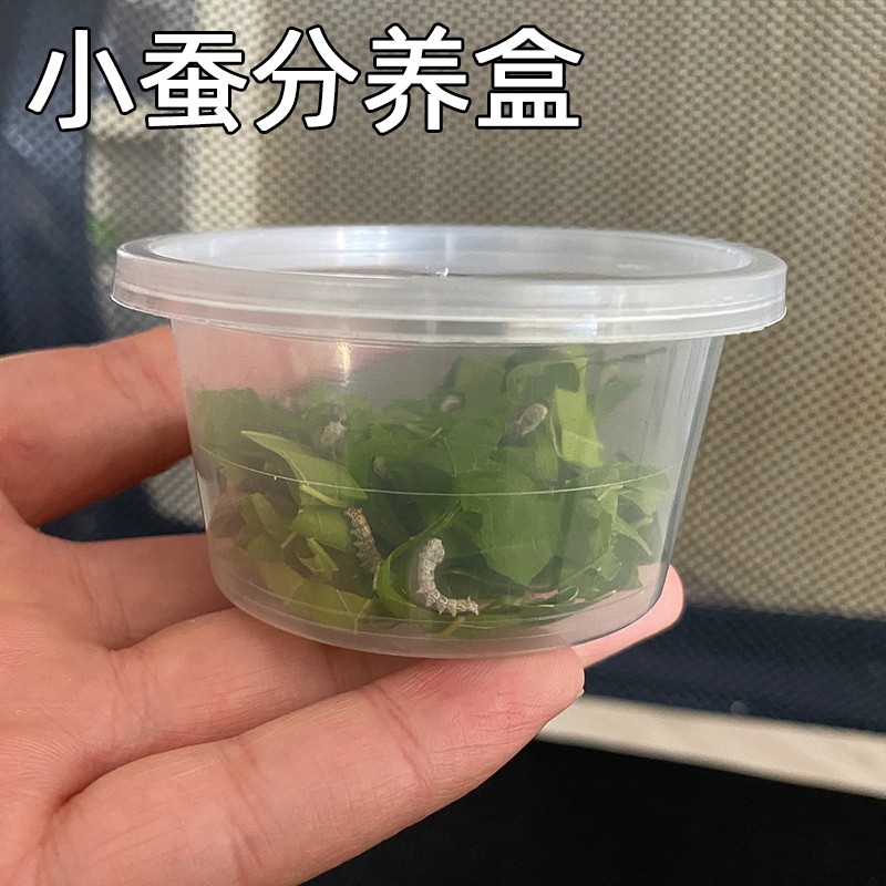 蚕菇凉蚕宝宝工具配件大全大小蚕喂养方便饲养盒养蚕指导 小蚕分养盒