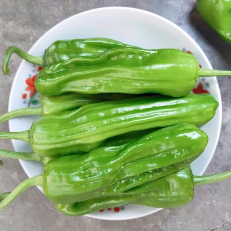 【精选】青椒新鲜薄皮微辣不辣虎皮青椒批发新鲜蔬菜菜 5斤 薄皮青椒