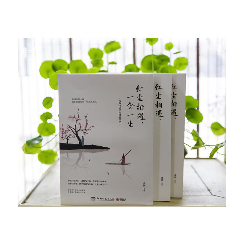 正版现货 红尘相遇,一念一生 桑妮著 讲述李煜,苏轼,李清照,陆游