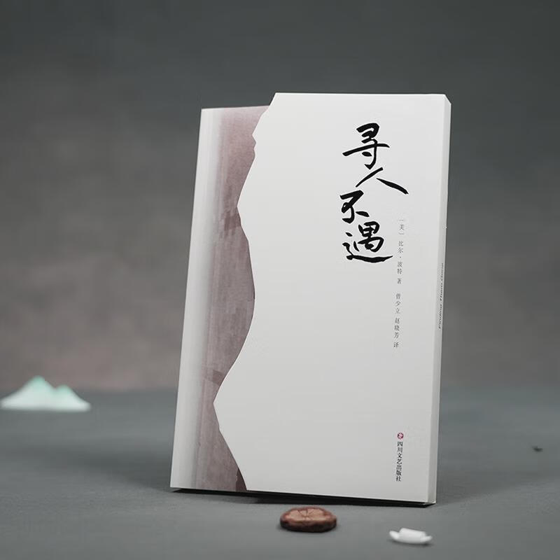 寻人不遇对中国古代诗人的朝圣之旅书籍现当代文学随笔小说yn 标准