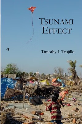预订  tsunami effect: 9780990733409