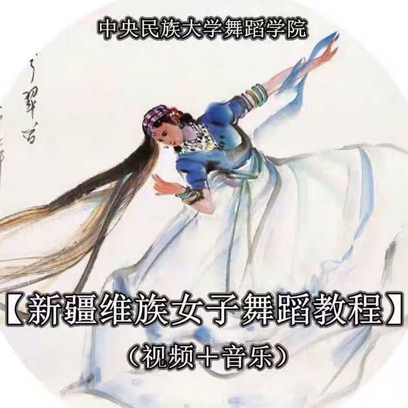 维族女子舞蹈 中央训练视频 送 8GB