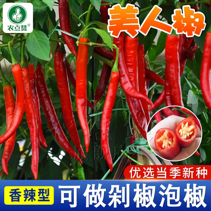 蔬菜类怎么看历史价格走势|蔬菜类价格走势