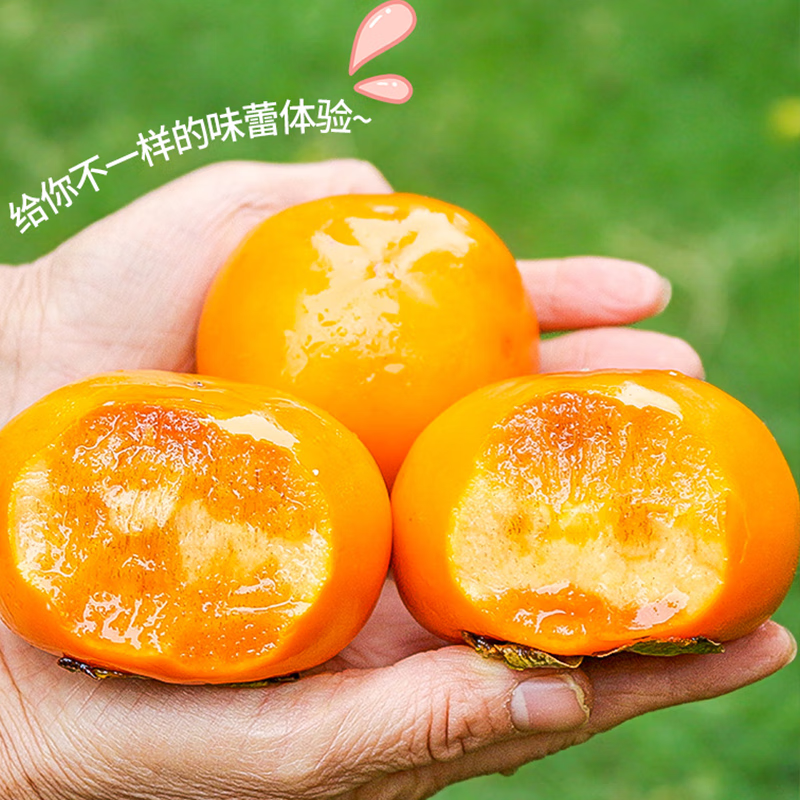 千园九味阳丰脆柿巧克力柿子新鲜水果当季火晶黄硬皮特产甜柿大果 优选5斤中果【净重4.5斤+】