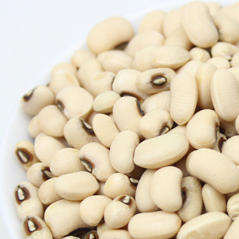 眉豆5斤 农家白豇豆 白豆白饭豆打豆浆豆类五谷杂粮粗粮豆子1斤 1斤