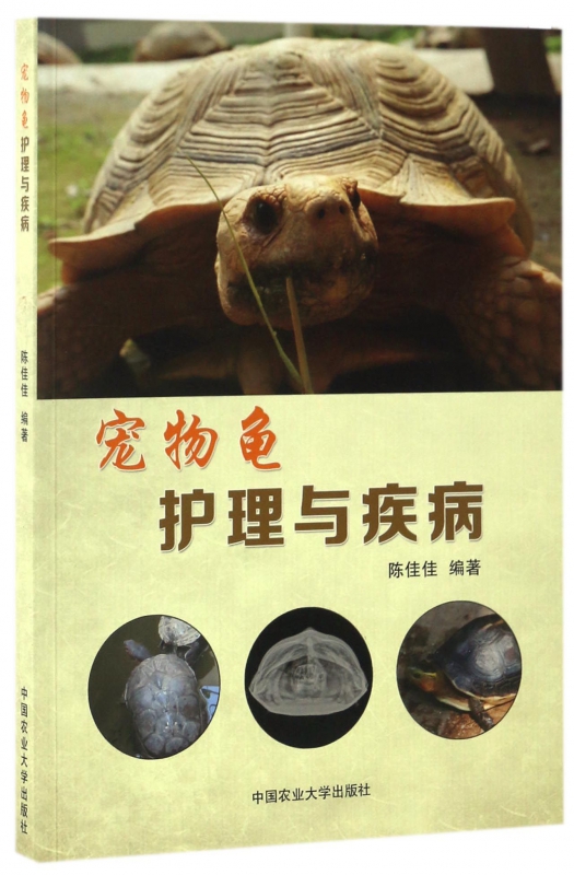 宠物龟护理与疾病