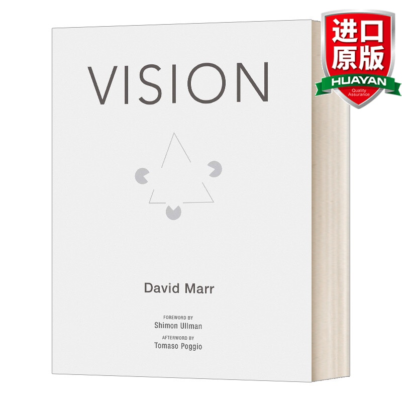 vision 英文原版 视觉计算理论 英文版 进口英语原版书籍