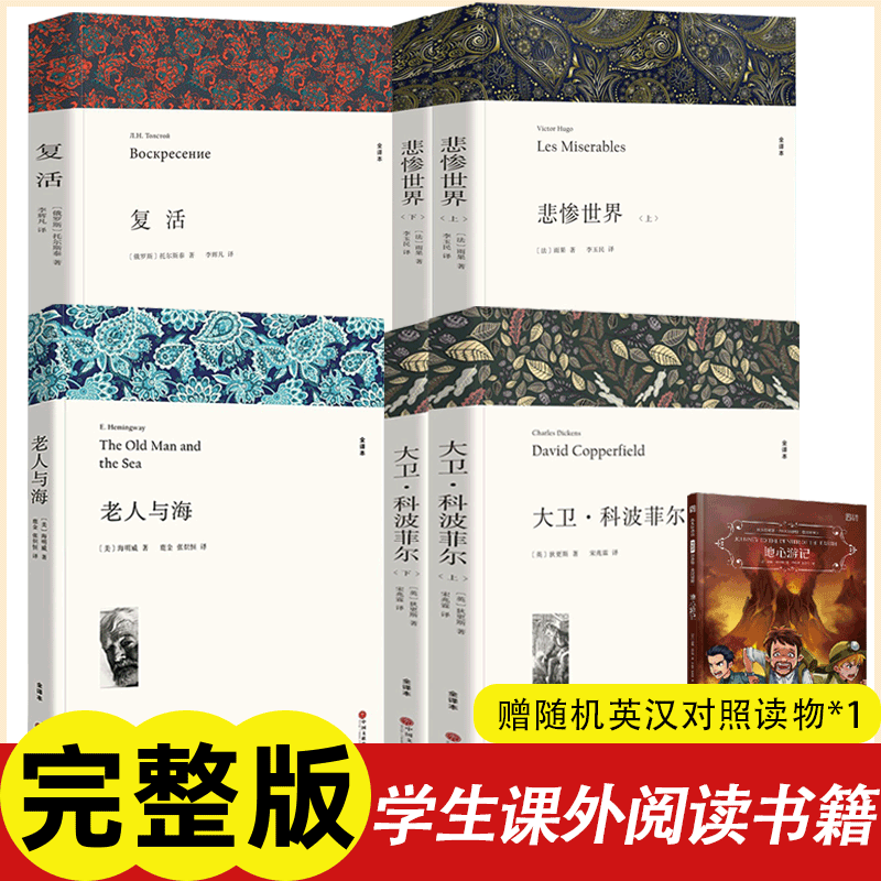 【可选】悲惨世界+复活+大卫科波菲尔+老人与海 百年孤独高中生课外阅读书籍 全译文无删减版 悲惨世界+复活+大卫科波菲尔+老人与海（6册）