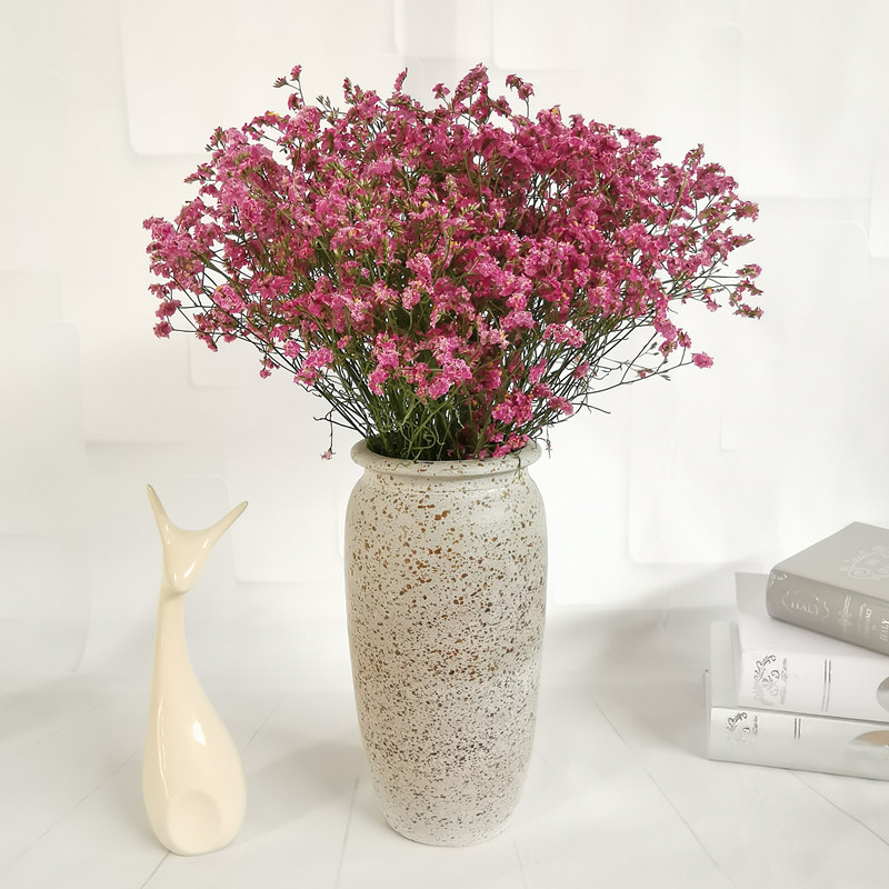 蔓缀 云南真花勿忘我满天星水晶草风干干花花束家居摆设论斤卖装饰