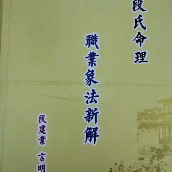 现货 职业象法新解 段氏命理 段建业 言明 精完整 明 精完整