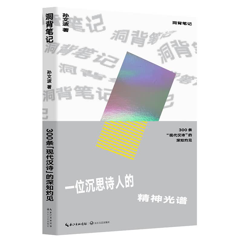 洞背笔记:300条现代汉诗的深知灼见