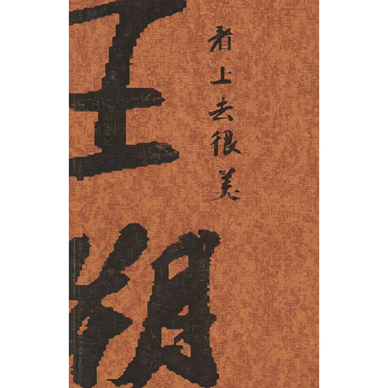 看上去很美 9787222041226