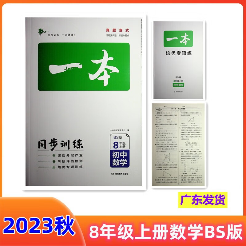 2023秋一本初中同步训练八年级上册 数学BS北师大版 初中生中考数学辅导练习题 初二8年级数学上册