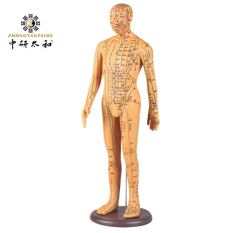 针灸针练针包中医初学者针灸练习包针灸针学生练习 50cm可扎针男模型