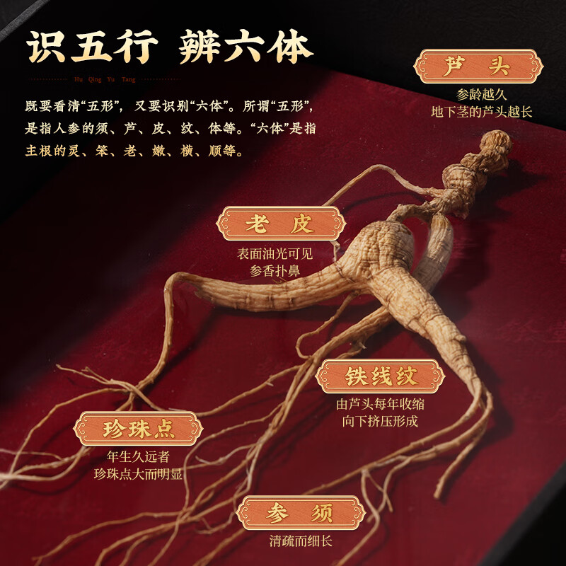 胡庆余堂长白山野山参人参国检4.5-9.8克礼盒装线下同款年货滋补品礼物 (4.8-5.0g) 1支*1盒