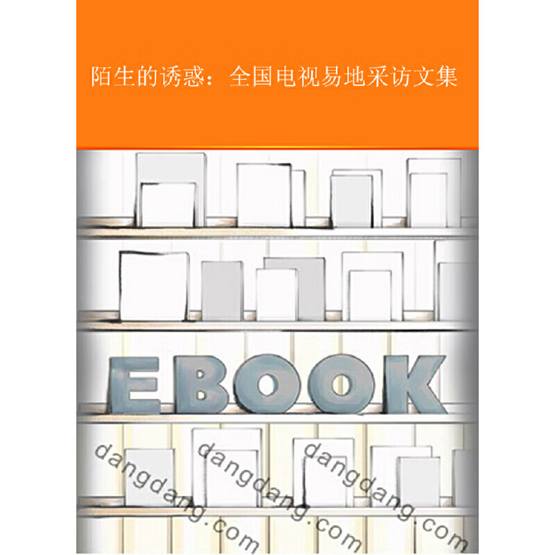 陌生的诱惑 全国电视易地采访文集【正版好书】