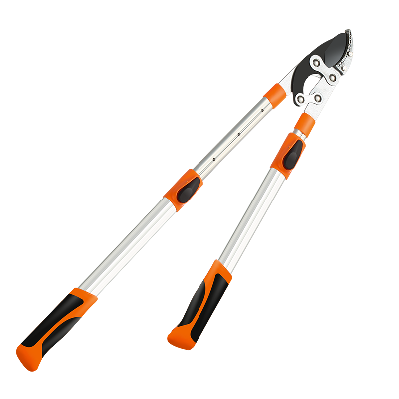 ���ڲ�������������YINLONGDAO���¹������� ԰�ռ�����֦�� �������� ��֦�� ԰�ּ��� ��֦�� �� ��������������ǿ����ڵ�Ƭ���ɼ�60mm��